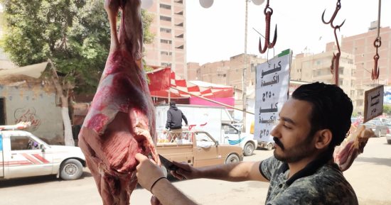 انخفاض أسعار اللحوم قبل عيد الأضحى فى الغربية.. أصحاب المحال: السوق شهد نزولا تدريجيا بداية من الأسبوع الماضى.. بدأت بـ300 جنيه وانخفضت حتى وصلت إلى 250 جنيها.. ويؤكدون: أسعار الأعلاف سبب الانخفاض