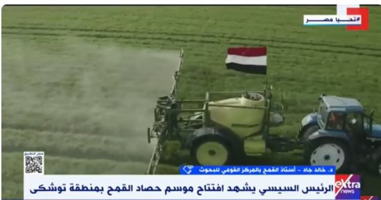 أستاذ القمح بالقومي للبحوث: قد نصل العام المقبل لـ 700 ألف فدان بتوشكى والعوينات