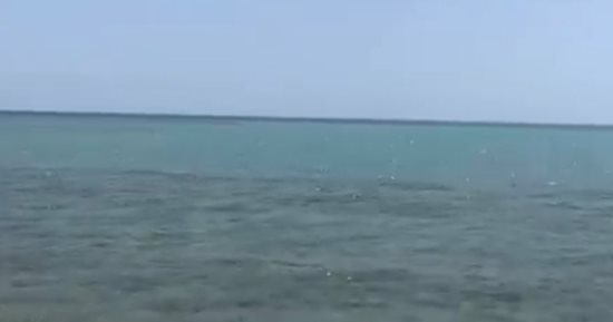 رواج سياحى على الجزر البحرية وهدوء فى حالة البحر وإقبال على شواطئ الغردقة