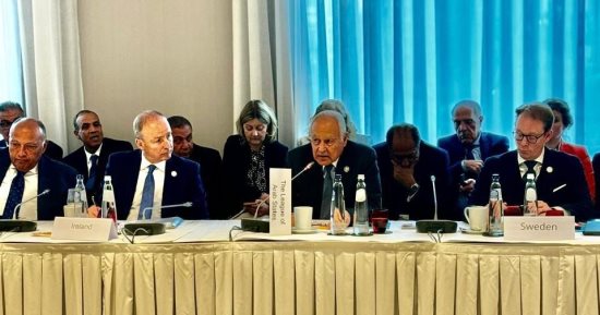أحمد أبو الغيط للوزراء الأوروبيين: الاعتراف بدولة فلسطين هو الخطوة الصحيحة