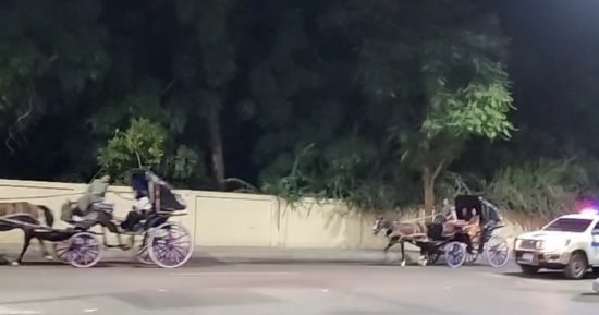 الطقس الحار لم يمنعهم من الخروج.. أهالى الأقصر يستمتعون بشارع الفنادق (فيديو)