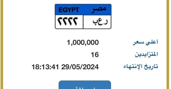 16 مزايدا على لوحة سيارة مميزة "رعب - 2222” وسعرها يصل مليون جنيه
