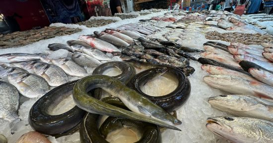حنشان وغطيان.. اعرف أشهر الأسماك فى سوق بورسعيد.. فيديو وصور