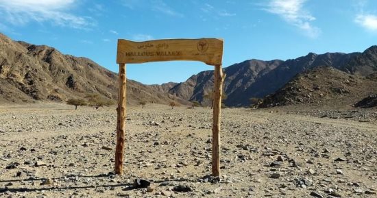 وادى حلوس.. طبيعة خلابة وآثار تعود لما قبل التاريخ فى مرسى علم