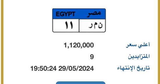 9 مزايدين على لوحة سيارة مميزة "نمر  - 11".. سعرها يصل 1.120 مليون جنيه
