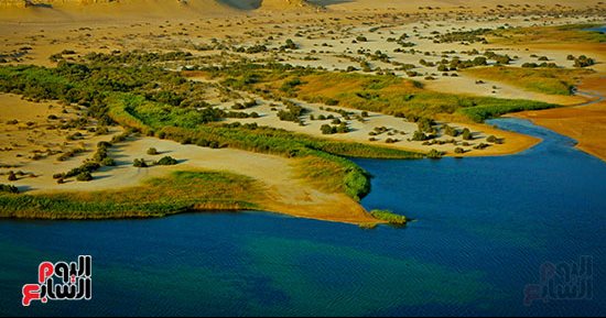 البحيرة المسحورة.. سحر الطبيعة يزين صحراء الفيوم