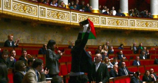استبعاد نائب من برلمان فرنسا 15 يوما بعد رفعه علم فلسطين فى إحدى الجلسات..فيديو