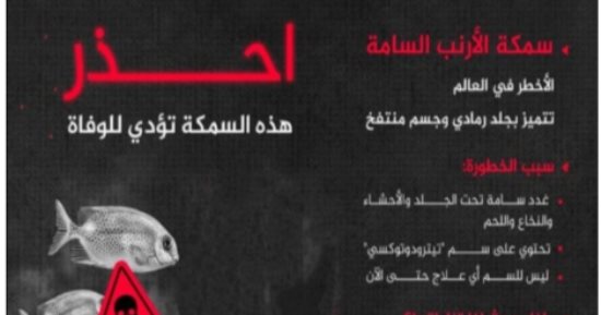 صحة الدقهلية تحذر المواطنين من تناول "سمكة الأرنب" السامة