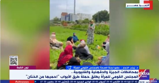 عضو صحة المرأة: لدينا قيادة سياسية حكيمة حريصة على التصدى للعنف ضد المرأة