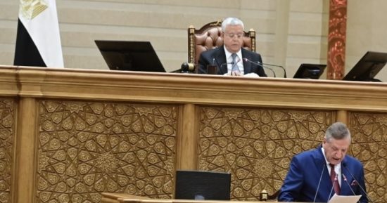 نواب يعلنون الموافقة على موازنة 24/25.. ويؤكدون: نقف خلف القيادة السياسية