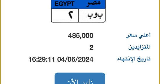 مزاد على اللوحة المميزة "بوب - 2" يرفع سعرها لـ485 ألف جنيه حتى الآن