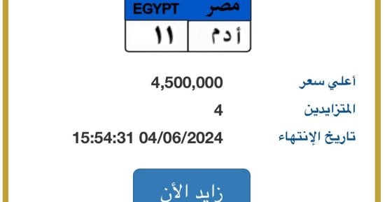 لوحة "أ د م - 11" تقترب من 5 ملايين جنيه و4 أشخاص يتنافسون لامتلاكها 