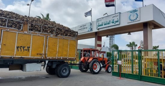خزينة الدلتا للسكر خاوية.. تراجع النقدية والسحب على المكشوف تجاوز 5 مليارات