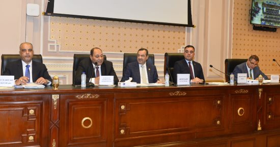 زراعة الشيوخ توصي بسياسة واضحة للتصنيع الزراعي تبدأ بدراسة الأسواق    
