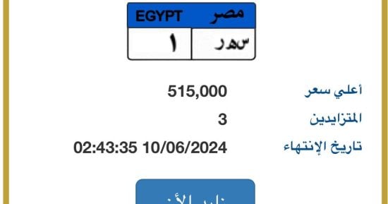 طرح لوحة "س ه ر- 1" المميزة للمزايدة وسعرها يتخطى نصف مليون جنيه