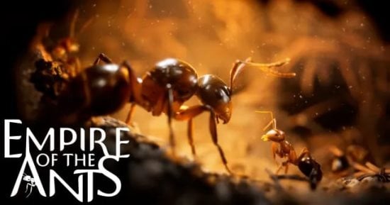 لعبة Empire of the Ants تكشف حياة حشرة واقعية ويتم طرحها فى نوفمبر