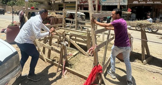 محافظة الجيزة تزيل شوادر لبيع المواشي من الطريق العام بالهرم