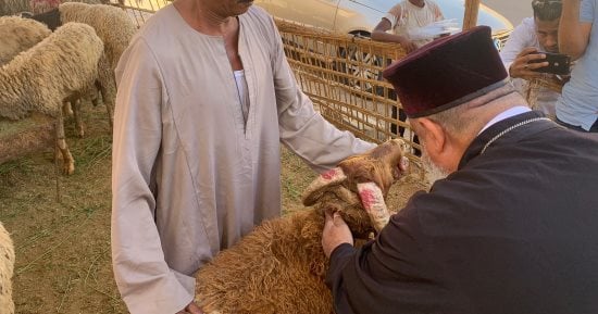 قس يشترى خروفا لمشاركة المسلمين فى احتفالاتهم بعيد الأضحى.. لايف
