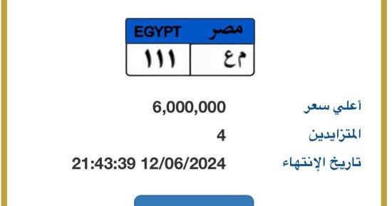6 ملايين جنيه قيمة لوحة "م ع - 111" ومنافسة بين 4 أشخاص لامتلاكها
