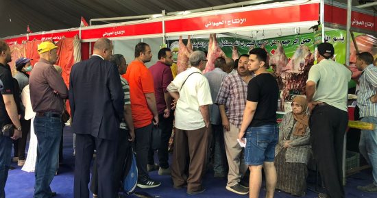 بسعر 250 جنيها.. زحام على شراء اللحوم البلدى بمعرض وزارة الزراعة فى الدقى