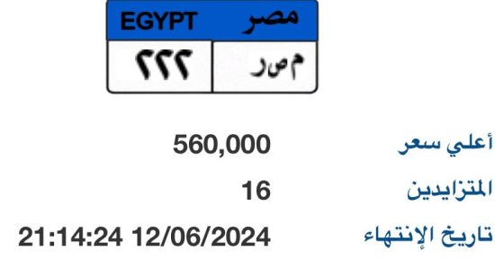 16 شخصا يزايدون على لوحة "م ص ر - 222".. سعرها قارب 600 ألف جنيه