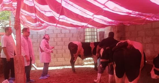 مديرية الطب البيطري بشمال سيناء تكثف استعداداتها لعيد الأضحى المبارك