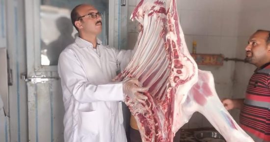 نصائح من الطب البيطرى لذبح الأضحية بطريقة صحيحة.. النحر على الطريقة الإسلامية.. عدم فصل رأس الذبيحة.. احذر الأمراض غير الظاهرة على الحيوان.. ظهور الصديد بالكليتين والسل يتسبب فى إعدام الذبيحة.. صور