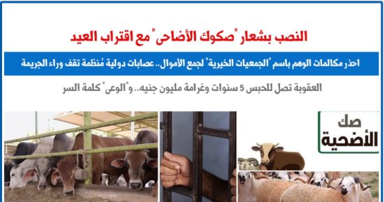 احذر.. السرقة والنصب باسم "صكوك الأضاحى" مع اقتراب عيد الأضحى.. برلمانى