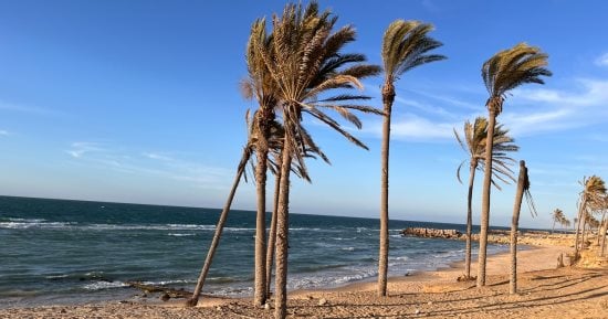 شمال سيناء ترفع درجة الاستعداد لاستقبال عيد الفطر المبارك.. التفاصيل