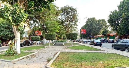 محافظة الجيزة: المسطحات الخضراء تزين شارع جزيرة العرب بالعجوزة