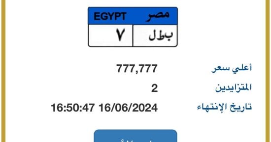 منافسة بين شخصين على لوحة"بطل- 7" المميزة وسعرها يقترب من مليون جنيه فور عرضها  