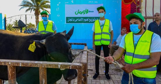 استعدادات مكثفة لاستقبال عيد الأضحى وخطة لتوزيع اللحوم بسوهاج