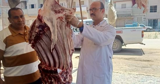 نصائح الطب البيطري بالدقهلية.. إزاي تعرف اللحمة الصح؟