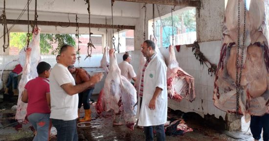 30 مجزرا لذبح الأضاحى مجانا فى القليوبية.. والمحافظ: التشديد على منع الذبح خارج المجازر.. وتفعيل غرف العمليات بالمحافظة وربطها بمجالس المدن والمراكز.. وتخصيص 471 ساحة لصلاة عيد الأضحى المبارك
