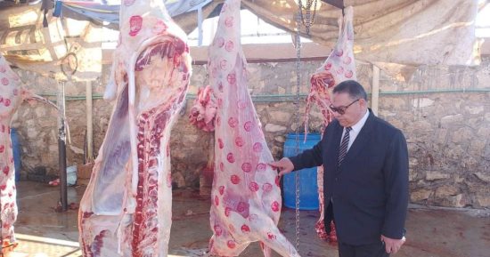 تعرف على أختام الذبائح ودلالاتها من الطب البيطرى بالدقهلية
