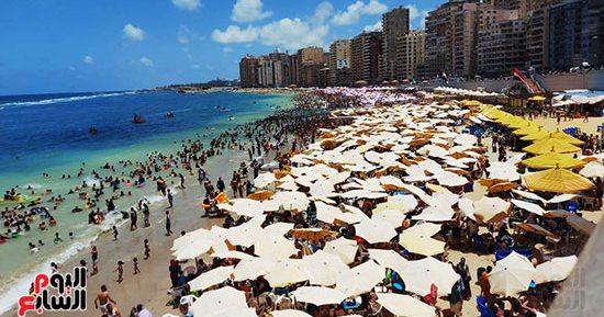 محافظة الإسكندرية تطرح مجموعة شواطئ بنظام المزايدة العلنية.. اعرف التفاصيل