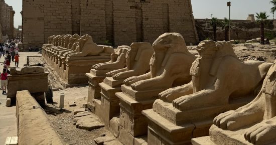 طريق الكباش ومعبد الأقصر يجذبان السائحين من حول العالم.. صور
