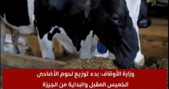 الأوقاف تبدأ توزيع لحوم الأضاحى الخميس المقبل والبداية من الجيزة (فيديو)