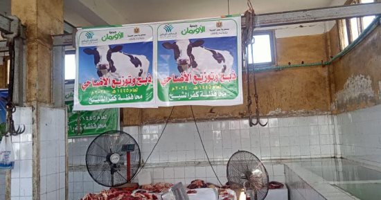مجازر كفر الشيخ تستقبل 2017 أضحية خلال أيام العيد.. صور