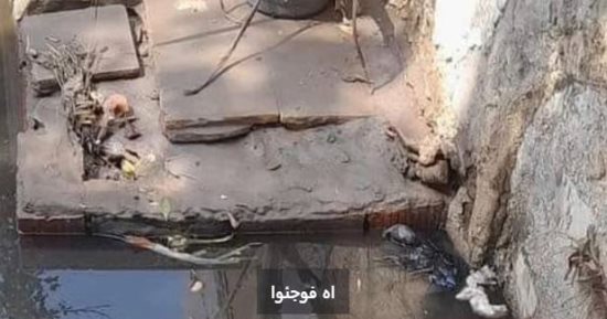 تفاصيل توجيه الرئيس السيسى بسرعة ترميم مقبرة الشيخ الشعراوى.. فيديو