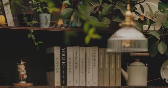 وداعاً للفوضى ومرحباً بالأناقة.. 5 أخطاء ترتكب عند ترتيب الأرفف