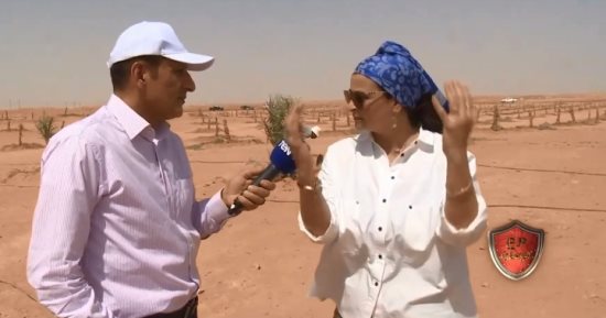 علا الشافعي: توشكى مشروع مهم لمستقبل مصر.. ولأنى من جوايا فلاحة زرعت نخلة