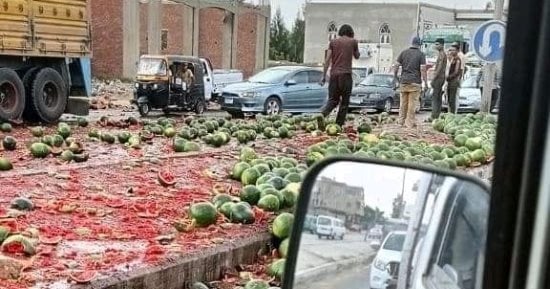 إعادة فتح طريق رافد جمصة بالدقهلية بعد غلقه بسب انقلاب سيارة محملة بالبطيخ