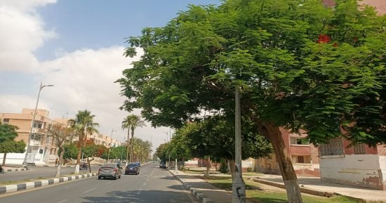 انخفاض فى درجات الحرارة على معظم أنحاء المنوفية.. فيديو