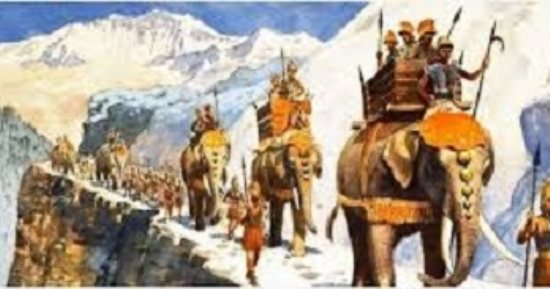 7 حيوانات وطيور شاركت في الحروب العالمية.. منها الحمام رمز السلام