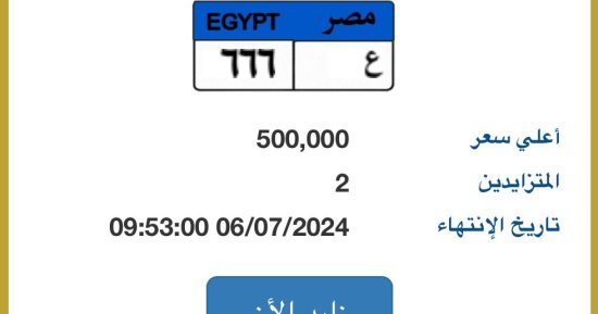بدء التزايد علي لوحة سيارة "ع - 666" سعرها يصل نصف مليون جنيه