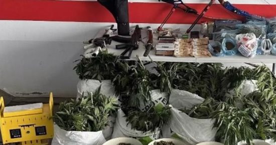 إسبانيا تفكك شبكة ضخمة لتهريب المخدرات وتضبط 3000 نبتة ماريجوانا