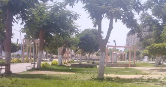 ذروة ارتفاع درجات الحرارة.. طقس شديد الحرارة ورطوبة شديدة بالمنيا