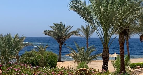 شواطئ جنوب البحر الأحمر.. طبيعة خلابة تسر الناظرين.. فيديو