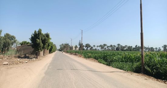 ارتفاع شديد فى درجات الحرارة على معظم أنحاء محافظة المنوفية.. فيديو